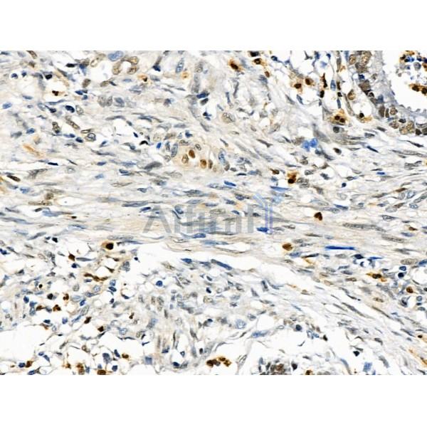 Валидация Affinity DF6103 - 17319