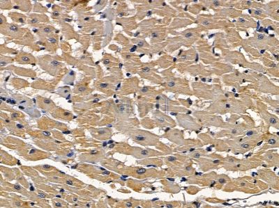 Валидация Affinity DF4707 - 16394