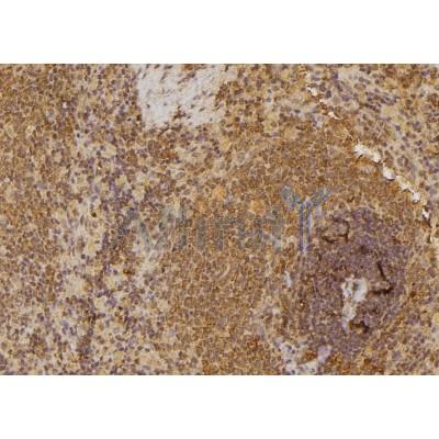 Валидация Affinity DF3464 - 14374