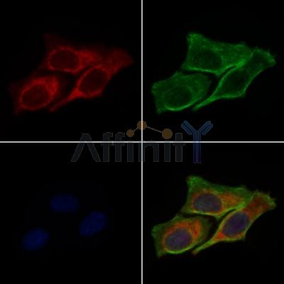 Валидация Affinity DF7582 - 19349