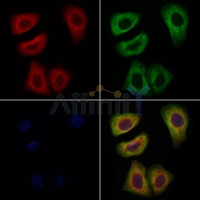 Валидация Affinity DF6560 - 17998