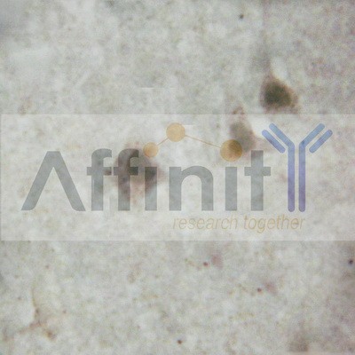 Валидация Affinity AF5140 - 2531