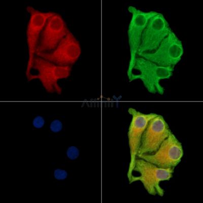 Валидация Affinity DF14028 - 9793