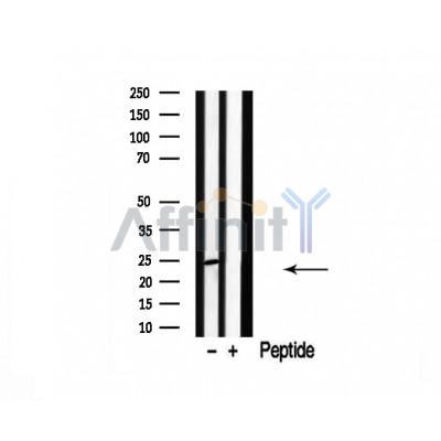Валидация Affinity DF4612 - 16234