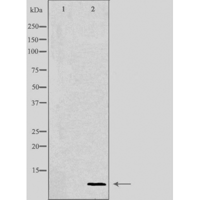 Валидация Affinity DF3558 - 14506