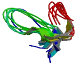 Atrial Natriuretic Peptide (ANP)