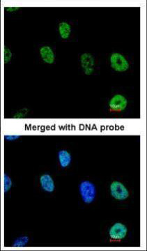 Валидация AssayVector ARM2040(3081)