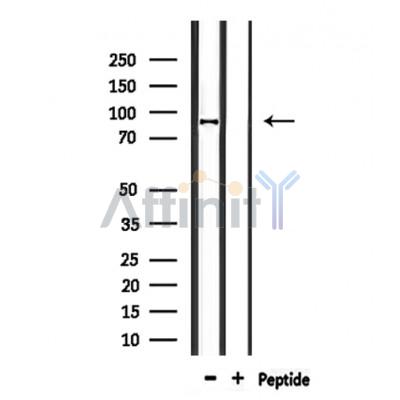 Валидация Affinity DF8925 - 21066