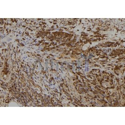 Валидация Affinity DF2242 - 12784