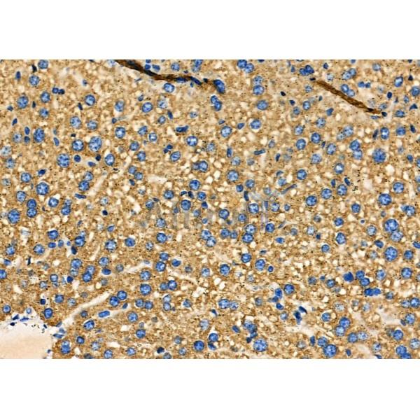 Валидация Affinity DF7902 - 19729