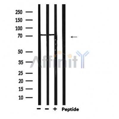 Валидация Affinity DF6685 - 18180