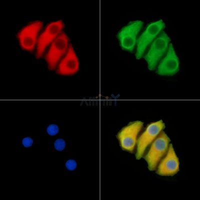 Валидация Affinity DF14552 - 10545