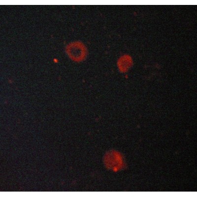 Валидация Affinity AF6109 - 3320