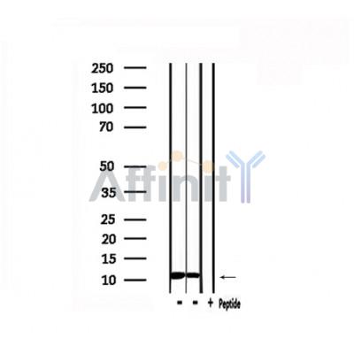 Валидация Affinity DF6404 - 17767