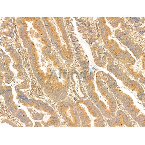 Валидация Affinity DF13738 - 9384