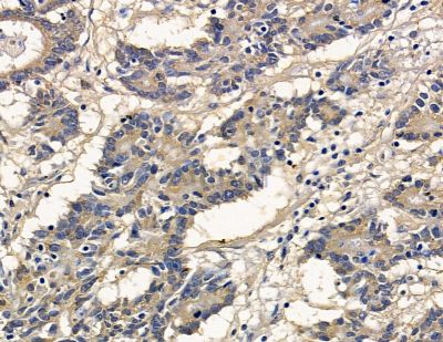 Валидация Affinity DF2820 - 13568