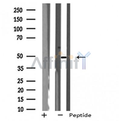 Валидация Affinity DF4999 - 16858
