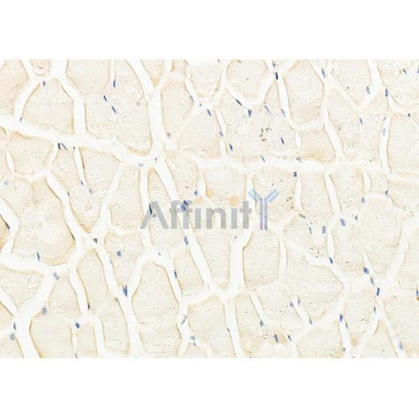 Валидация Affinity DF8724 - 20733