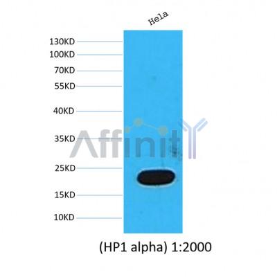 Валидация Affinity BF0724 - 5397