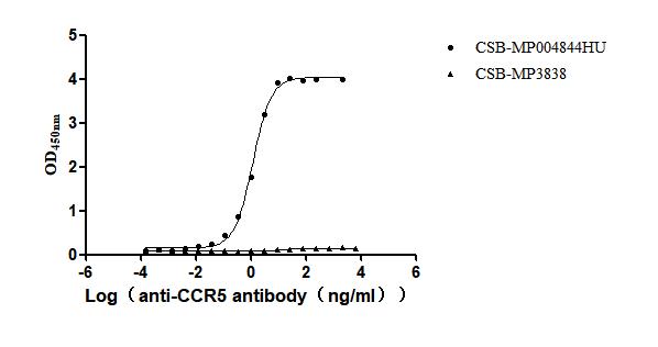 Функциональный ИФА: связывание рекомбинантного антитела к CCR5 с иммобилизованным человеческим CCR5