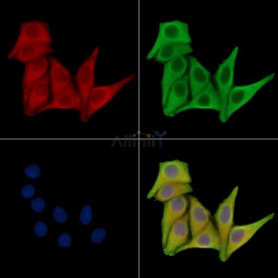 Валидация Affinity DF14084 - 9873