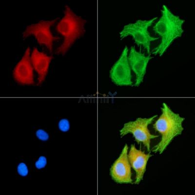 Валидация Affinity DF13820 - 9506