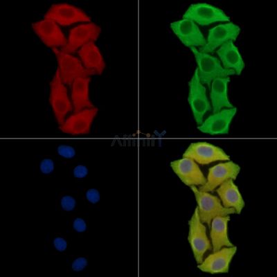 Валидация Affinity DF9209 - 21609