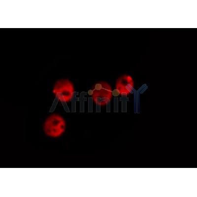 Валидация Affinity DF7708 - 19494