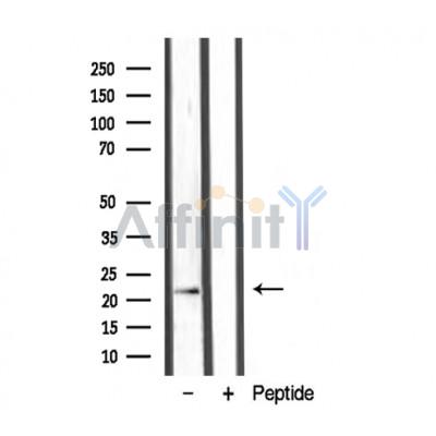 Валидация Affinity DF3243 - 14082