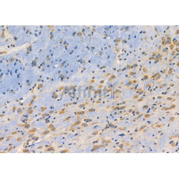 Валидация Affinity DF3127 - 13907