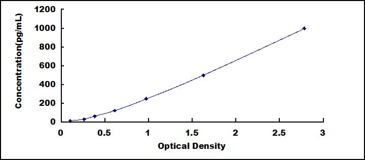 65081