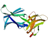 Killer Cell Immunoglobulin Like Receptor 2DS3 (KIR2DS3)