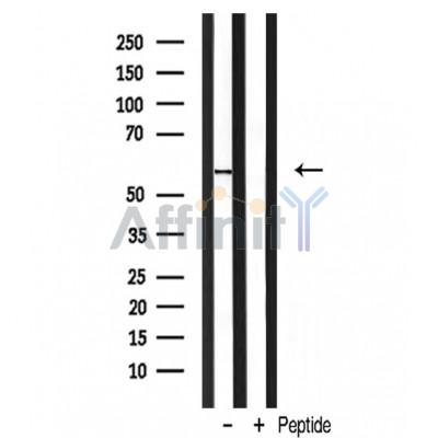 Валидация Affinity DF3564 - 14514