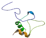 Interferon Regulatory Factor 2 Binding Protein 1 (IRF2BP1) Interferon Regulatory Factor 2 Binding Protein 1 (IRF2BP1)