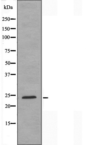 Валидация Affinity DF3137 - 13925