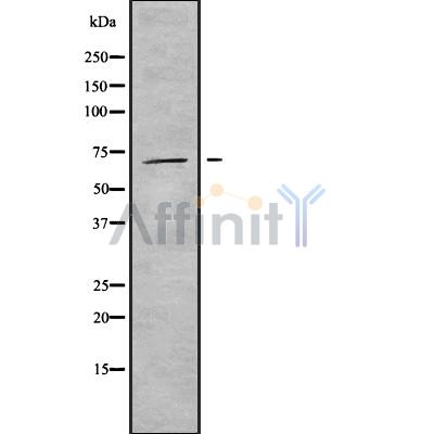 Валидация Affinity DF9139 - 21472