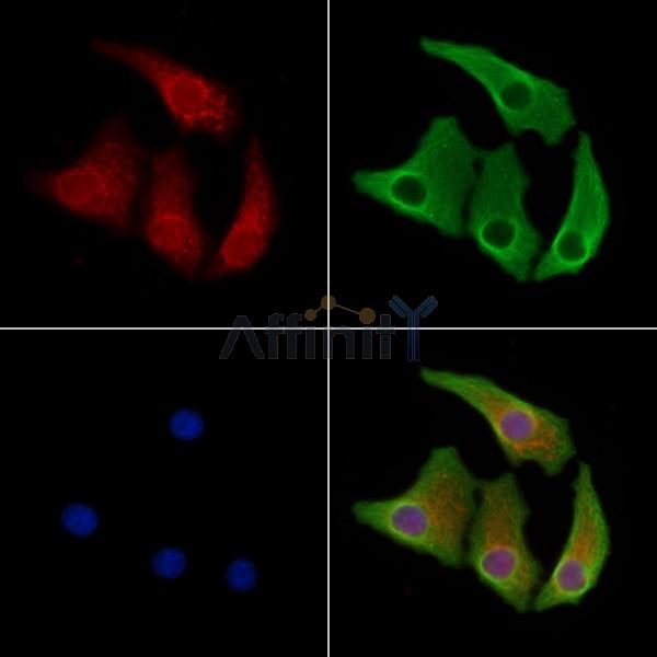 Валидация Affinity DF8308 - 20161