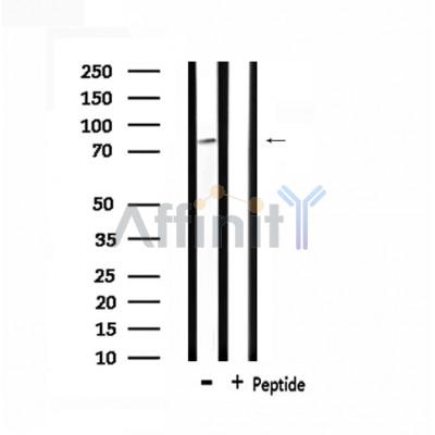 Валидация Affinity DF3524 - 14458
