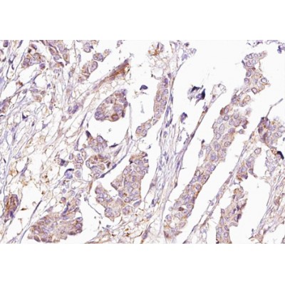 Валидация Affinity AF3471 - 1990