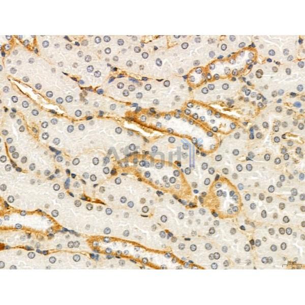 Валидация Affinity DF12123 - 6272