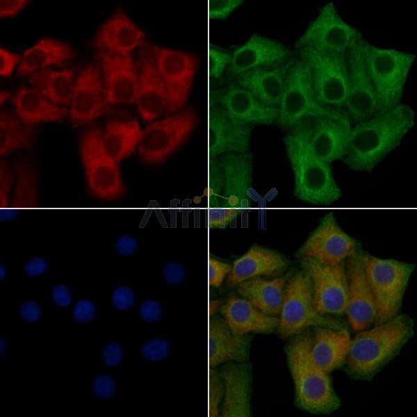 Валидация Affinity DF5053 - 16952