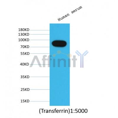 Валидация Affinity BF0720 - 5390