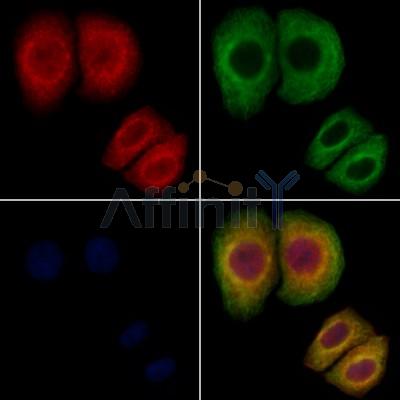 Валидация Affinity DF12688 - 7348