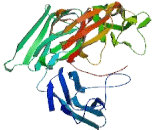 Leukocyte Immunoglobulin Like Receptor Subfamily A, Member 6 (LILRA6) Leukocyte Immunoglobulin Like Receptor Subfamily A, Member 6 (LILRA6)