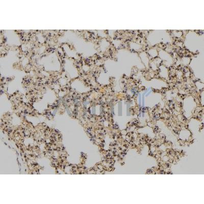 Валидация Affinity DF7269 - 18934