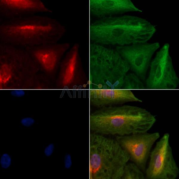 Валидация Affinity DF2525 - 13182