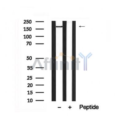 Валидация Affinity AF7671 - 4352