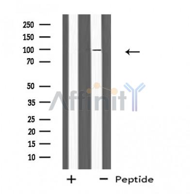 Валидация Affinity DF4720 - 16414