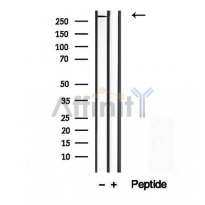 Валидация Affinity DF12322 - 6721