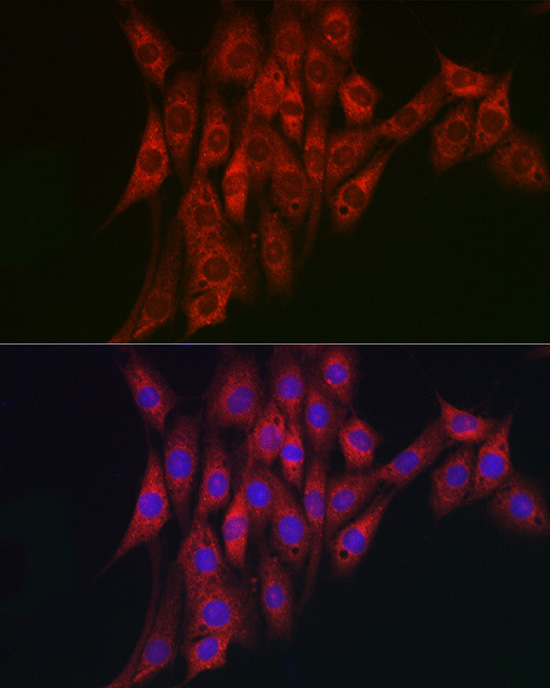 Валидация AssayVector ARM2460(4376)